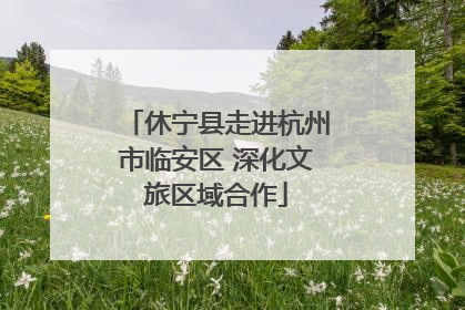 休宁县走进杭州市临安区 深化文旅区域合作