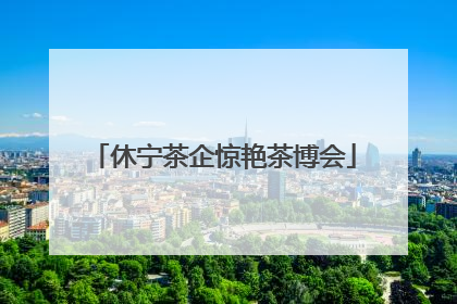 休宁茶企惊艳茶博会