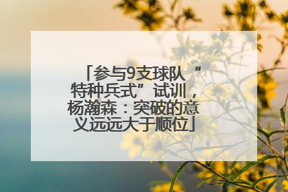 参与9支球队“特种兵式”试训，杨瀚森：突破的意义远远大于顺位