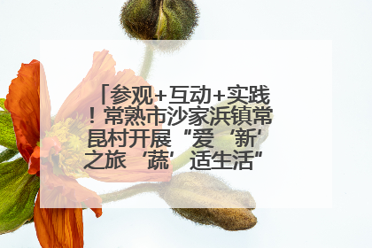参观+互动+实践！常熟市沙家浜镇常昆村开展“爱‘新’之旅‘蔬’适生活”参观学习活动