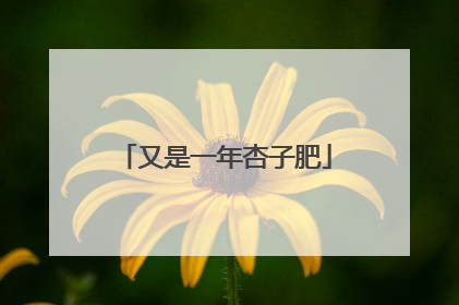 又是一年杏子肥