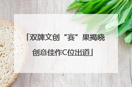 双牌文创“赛”果揭晓 创意佳作C位出道