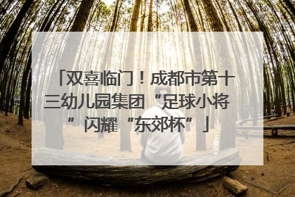 双喜临门！成都市第十三幼儿园集团“足球小将”闪耀“东郊杯”