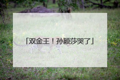 双金王！孙颖莎哭了