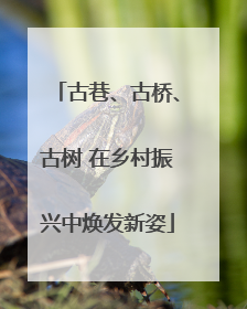 古巷、古桥、古树 在乡村振兴中焕发新姿