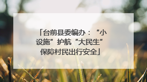 台前县委编办：“小设施”护航“大民生” 保障村民出行安全