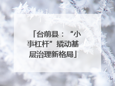 台前县：“小事杠杆”撬动基层治理新格局