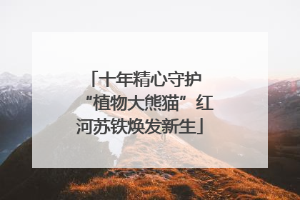 十年精心守护 “植物大熊猫”红河苏铁焕发新生