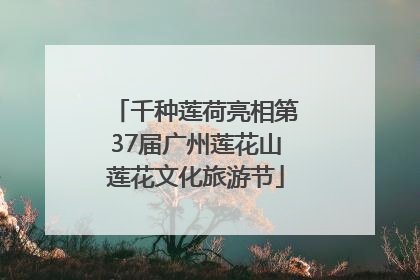 千种莲荷亮相第37届广州莲花山莲花文化旅游节