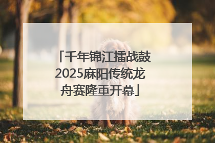 千年锦江擂战鼓 2025麻阳传统龙舟赛隆重开幕