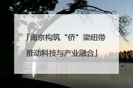 南京构筑“侨”梁纽带推动科技与产业融合