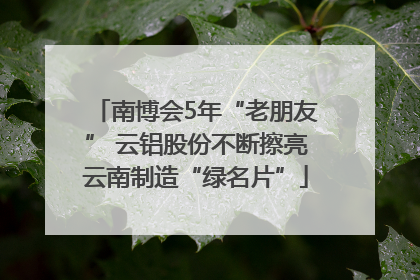 南博会5年“老朋友” 云铝股份不断擦亮云南制造“绿名片”