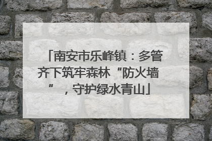 南安市乐峰镇：多管齐下筑牢森林“防火墙”，守护绿水青山