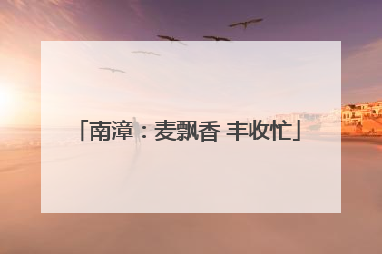 南漳：麦飘香 丰收忙