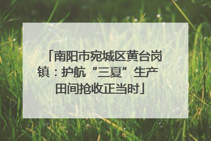 南阳市宛城区黄台岗镇：护航“三夏”生产 田间抢收正当时