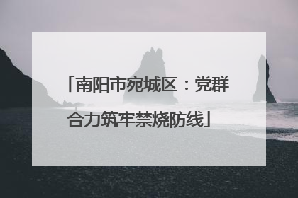 南阳市宛城区：党群合力筑牢禁烧防线