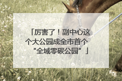 厉害了！副中心这个大公园成全市首个“全域零碳公园”