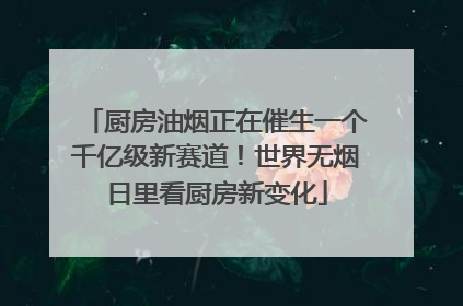 厨房油烟正在催生一个千亿级新赛道！世界无烟日里看厨房新变化