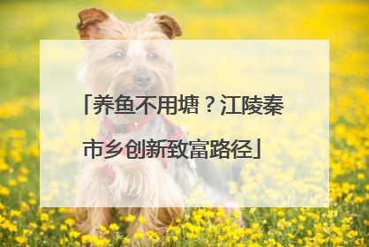 养鱼不用塘？江陵秦市乡创新致富路径