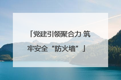 党建引领聚合力 筑牢安全“防火墙”