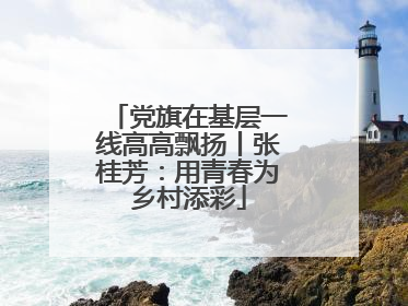 党旗在基层一线高高飘扬丨张桂芳：用青春为乡村添彩