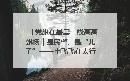 党旗在基层一线高高飘扬｜是民警、是“儿子”——申飞飞在太行山中的一线坚守