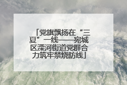 党旗飘扬在“三夏”一线——宛城区溧河街道党群合力筑牢禁烧防线