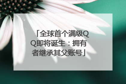 全球首个满级QQ即将诞生：拥有者继承其父账号