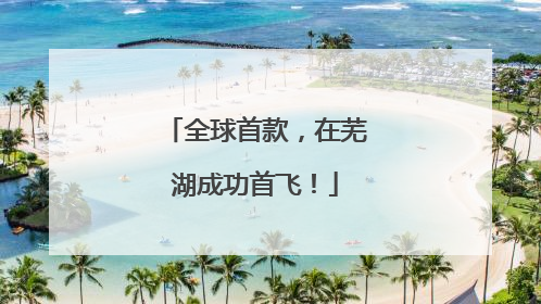 全球首款，在芜湖成功首飞！