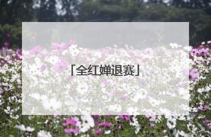 全红婵退赛