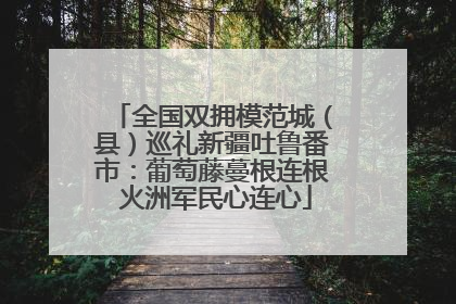 全国双拥模范城（县）巡礼新疆吐鲁番市：葡萄藤蔓根连根 火洲军民心连心