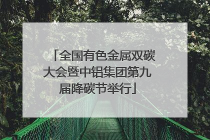 全国有色金属双碳大会暨中铝集团第九届降碳节举行