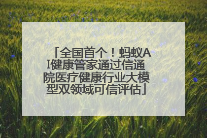 全国首个！蚂蚁AI健康管家通过信通院医疗健康行业大模型双领域可信评估