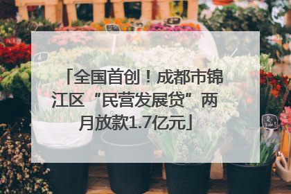 全国首创！成都市锦江区“民营发展贷”两月放款1.7亿元