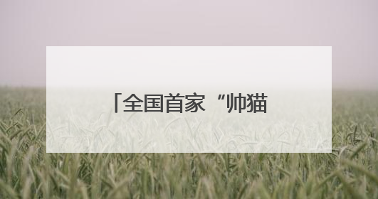 全国首家“帅猫便利店”在成都郫都区盛大开业——打造“一站式便民服务”新标杆