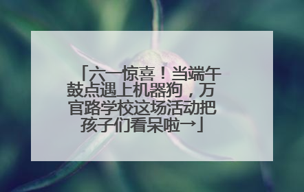 六一惊喜！当端午鼓点遇上机器狗，万官路学校这场活动把孩子们看呆啦→