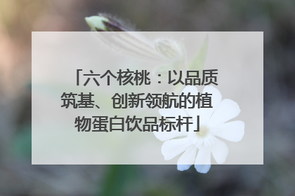 六个核桃：以品质筑基、创新领航的植物蛋白饮品标杆