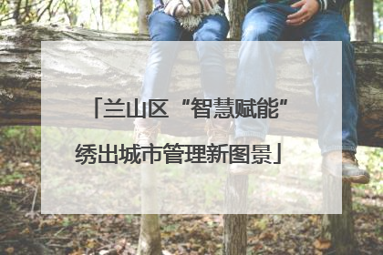 兰山区“智慧赋能”绣出城市管理新图景