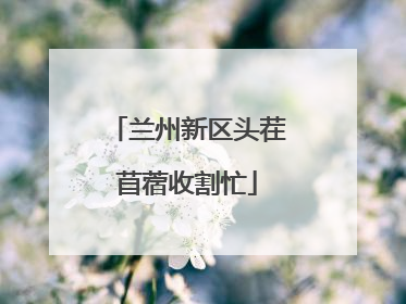 兰州新区头茬苜蓿收割忙