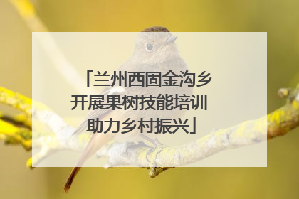 兰州西固金沟乡开展果树技能培训 助力乡村振兴