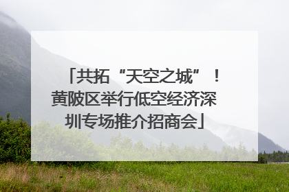 共拓“天空之城”！黄陂区举行低空经济深圳专场推介招商会