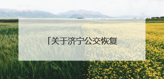 关于济宁公交恢复317路、501路原线路运营的通告