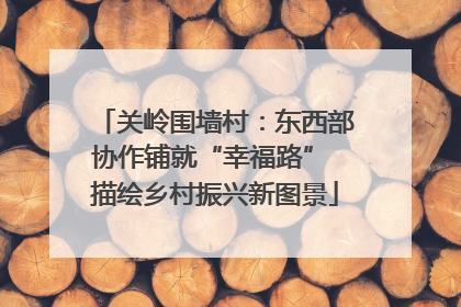 关岭围墙村：东西部协作铺就“幸福路” 描绘乡村振兴新图景
