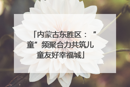 内蒙古东胜区：“童”频聚合力共筑儿童友好幸福城