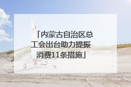 内蒙古自治区总工会出台助力提振消费11条措施