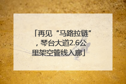 再见“马路拉链”，琴台大道2.6公里架空管线入廊