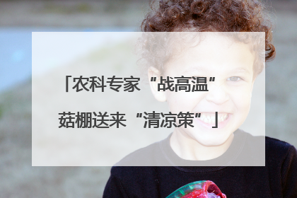 农科专家“战高温” 菇棚送来“清凉策”