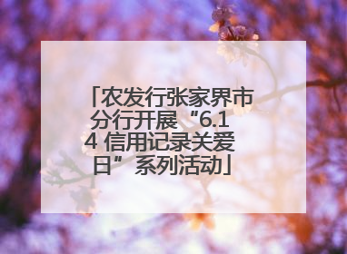 农发行张家界市分行开展“6.14 信用记录关爱日”系列活动