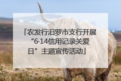 农发行汨罗市支行开展“6·14信用记录关爱日”主题宣传活动