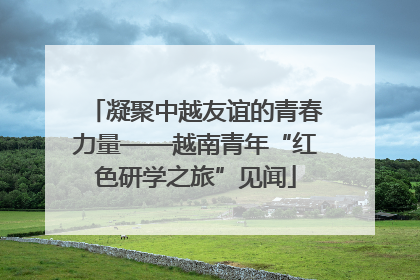 凝聚中越友谊的青春力量——越南青年“红色研学之旅”见闻